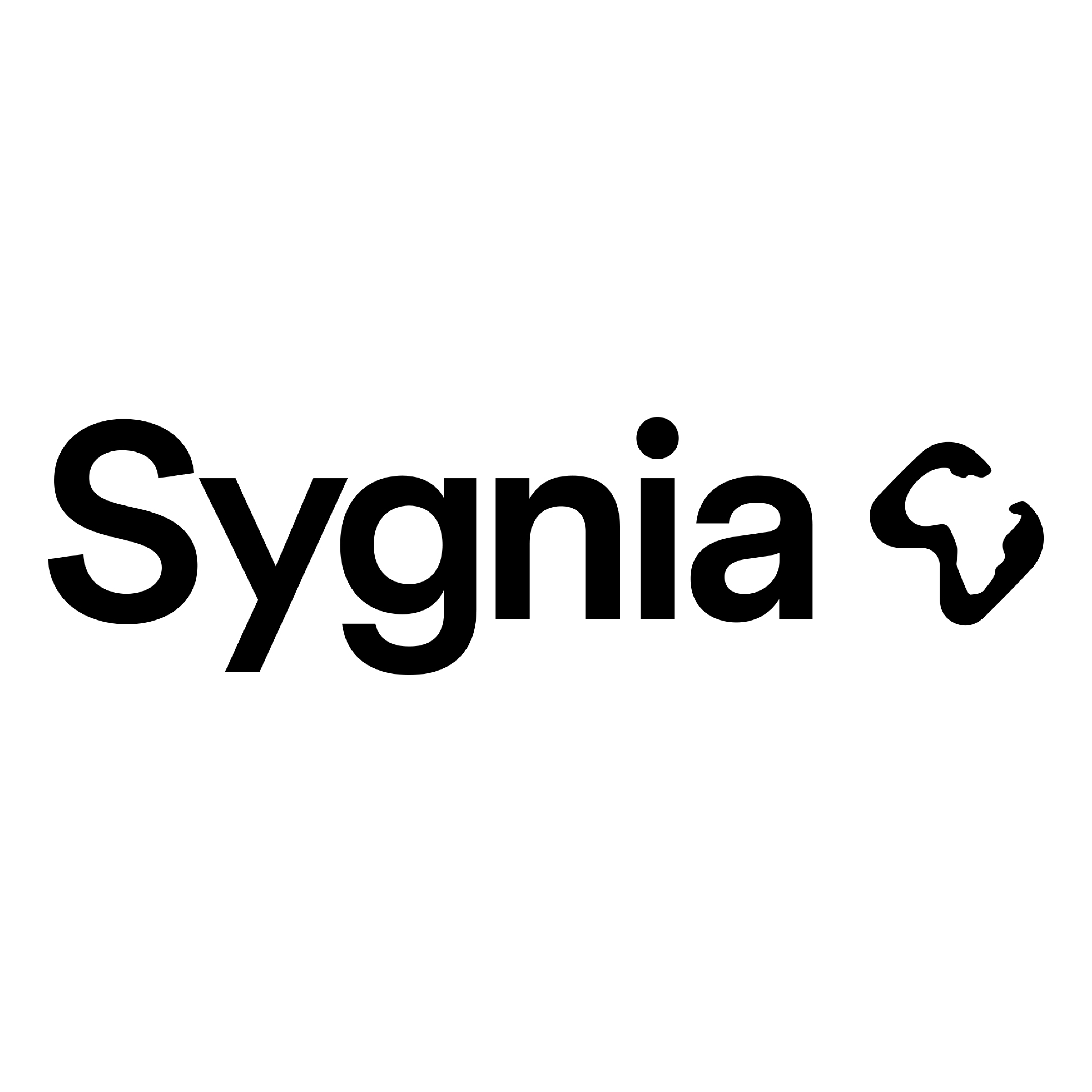 Sygnia Securities